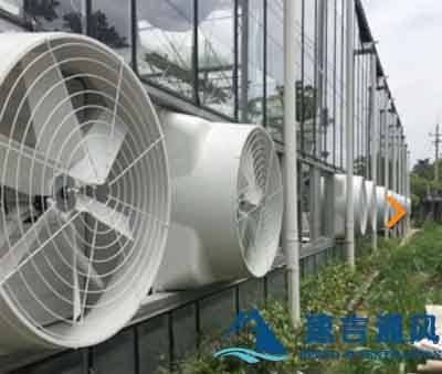 蔬菜大棚安裝負(fù)壓風(fēng)機效果圖片