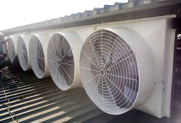 新泰玻璃鋼屋頂風(fēng)機 新泰玻璃鋼屋頂風(fēng)機