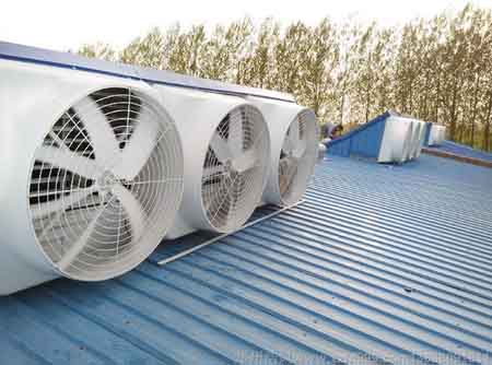 泰州玻璃 鋼屋頂風機廠 泰州玻璃 鋼屋頂風機廠