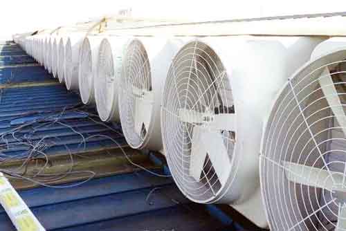 檢查風機的電機運行 檢查風機的電機運行