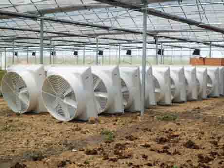 東臺大歷史上負壓風機用電參數 東臺大歷史上負壓風機用電參數