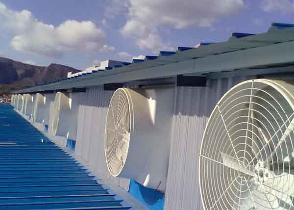 萊州屋頂風機通風設備 萊州屋頂風機通風設備