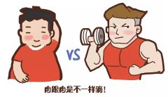 借助人體成分分析儀，開啟針對性身材管理之旅